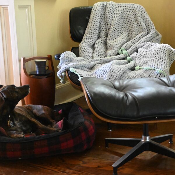 grey blanket black Eames chair